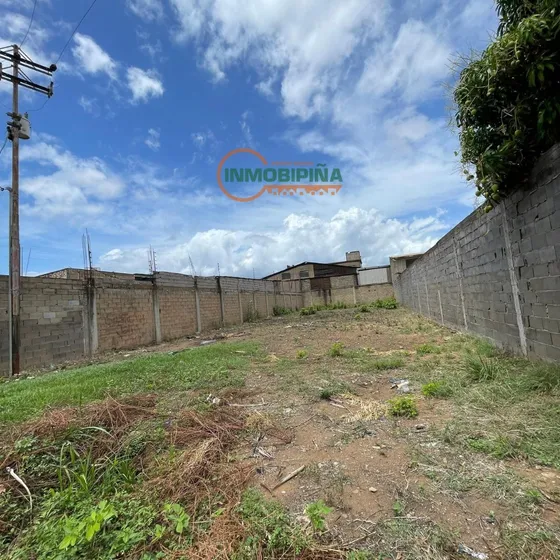 Inmobipiña Vende Terreno En Zona Industrial Los Pinos, Puerto Ordaz, Estado Bolivar - Dp
