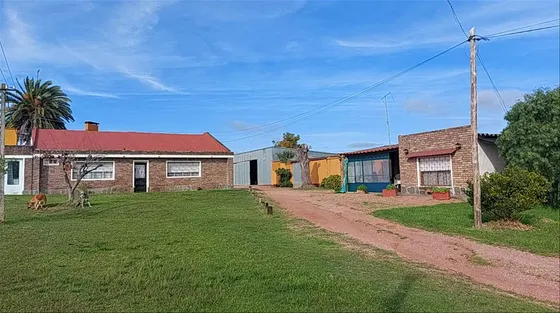 Venta De Chacra Productiva En Melilla Casas Viñedos Montes