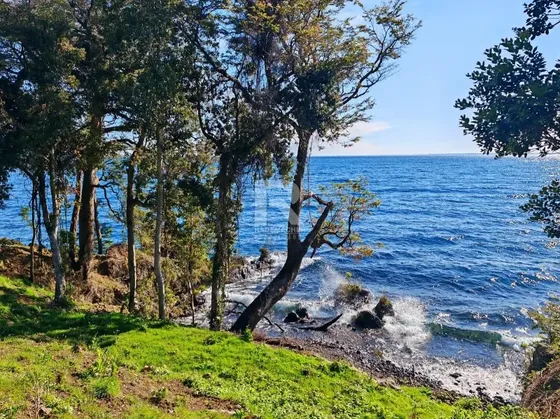 Parcelas Con Orilla O Borde Lago En Cascadas