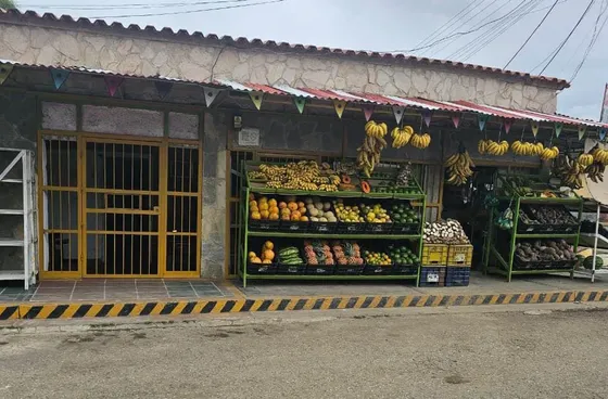Casa Comercial Con 2 Locales Operativos En Venta En La Avenida Principal De Las Viviendas De Los Guayos (excelente Ubicación, Zona De Alto Tráfico) 133,98 Mts2 4 Habitaciones (la Principal Con Baño Y
