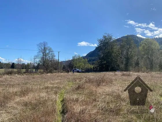 Parcelas En Licán-ray, Villarrica, Desde 5000 M2