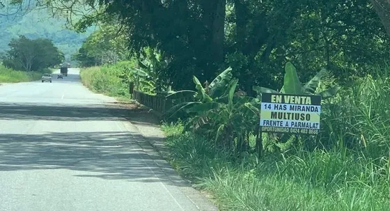 Terreno 1 Ha Residencial, Comercial, Multiusos En Miranda Edo. Carabobo Frente Carretera Nacional