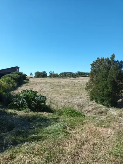 Parcela En Colonos Del Lago Llanquihue Puerto Varas