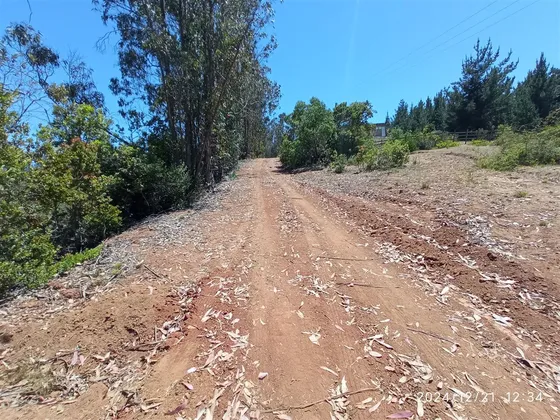 Sitio En Venta En Algarrobo