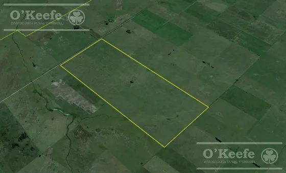 Campo Ganadero En Venta - 241 Has En Magdalena !!