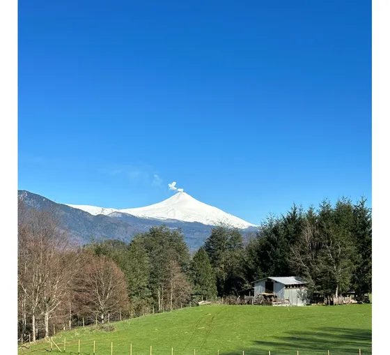 Bosques De Ancapulli, Pucón