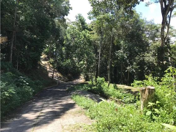 Terreno En Altos De La Neblina La Entrada