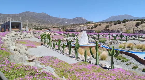 Excelente Oportunidad! Parcela En Carmín Del Elqui 