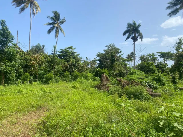 Se Venden Lotes En Las Terrenas Samana En La Bonita 