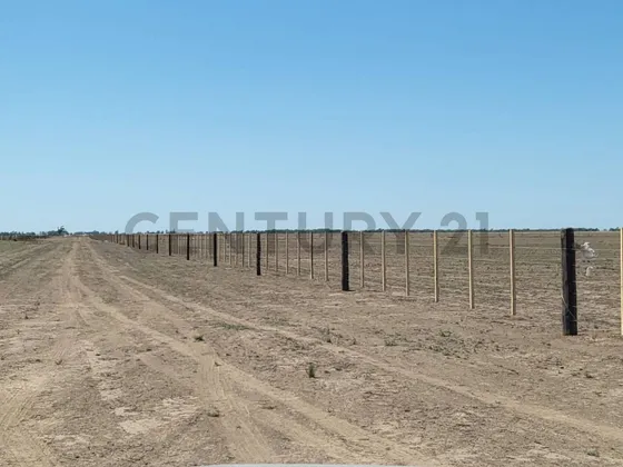 Se Vende Campo En Laboulaye, Córdoba, Con Una Superficie Total De 450.00 Metros Cuadrados. Preci...