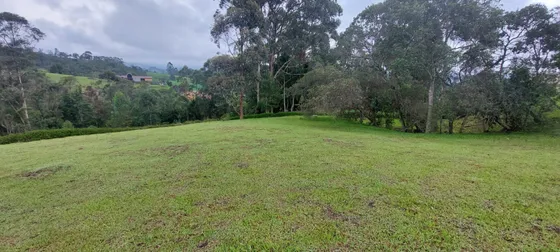 Lote En Venta En Llanogrande. Cod V11915