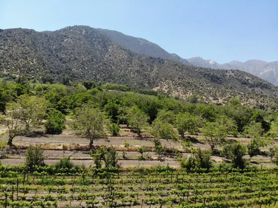 Hermosa Parcela En Santa Rita, Sector Santa Margarita.