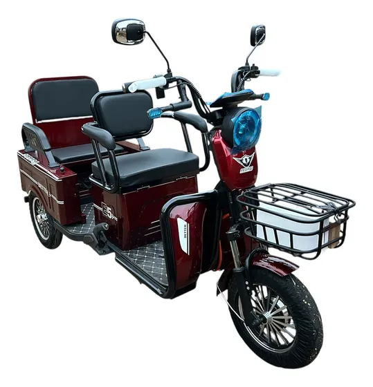 Triciclo Electrico Movilidad Pasajero Y Carga Pegaso Tornado
