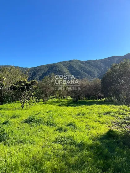 Oportunidad Venta Terreno Urbano Olmué