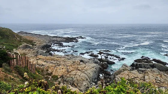 Punta De Tralca