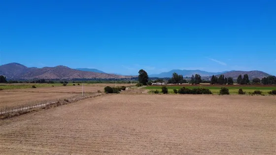 Agrícola En Arriendo En Melipilla