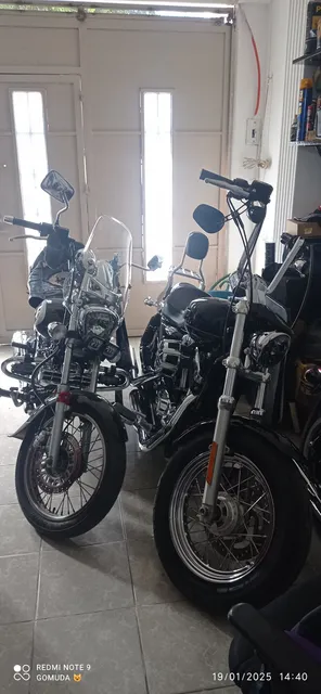 Bajaj Avenger 220