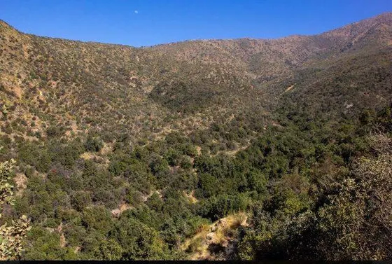 El Canelo , San Jose De Maipo (73886)