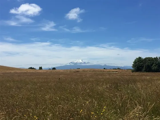 Parcela En Venta En Puerto Varas