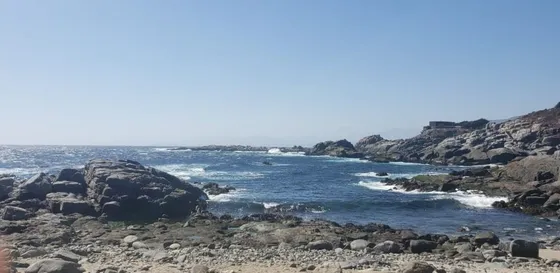 Sitio En Venta En Zapallar