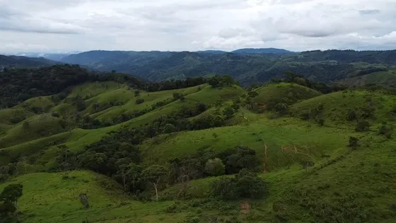 Se Vende Finca Ganadera Y/o Agrícola En Puerto Berrio 