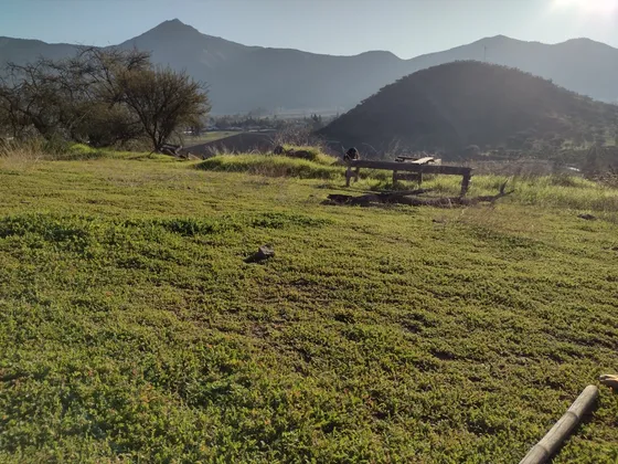 Terreno De 4 Ha Con Luz ,despejado, Excelente Ubicaci
