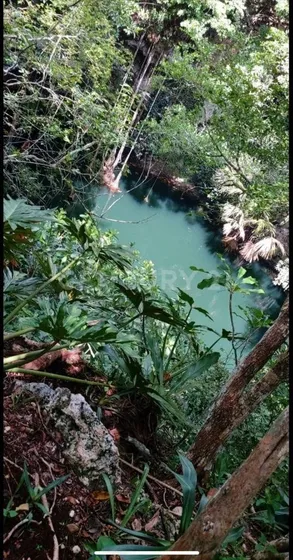 Terreno Comercial En Venta En Temozón, Yucatán.