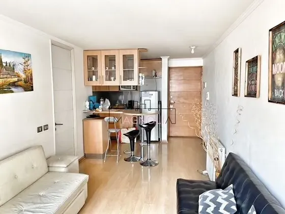 Departamento En Venta De 1 Dorm. En Providencia