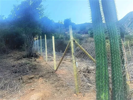 Venta De 2 Terrenos Con Bosque Nativo De 4.000/4200 M2., En