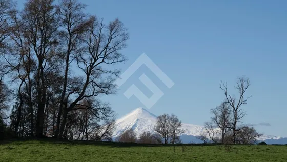 Sitios En Venta En Panguipulli