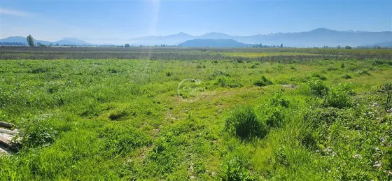 Agrícola En Venta En Teno