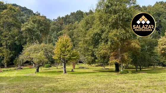 Vende Parcela A4 En Reserva Paillahuinte Panguipulli