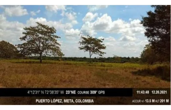 Venta De Finca La Gloria Vereda Remolino, Meta, 150 Hectáreas