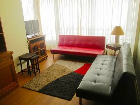 Arriendo Depto Año Corrido Amoblado 1d-1b Centro Viña