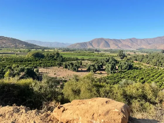 Parcela En Venta En Curacaví