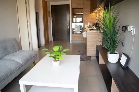 Arriendo Depto Amoblado 1 Habitación - Romeo Salinas (5230)