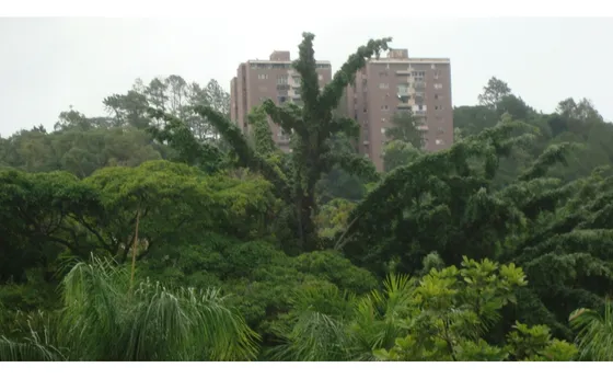 Vendo Apartamento 114m2 Terrazas Club Hipico 9915