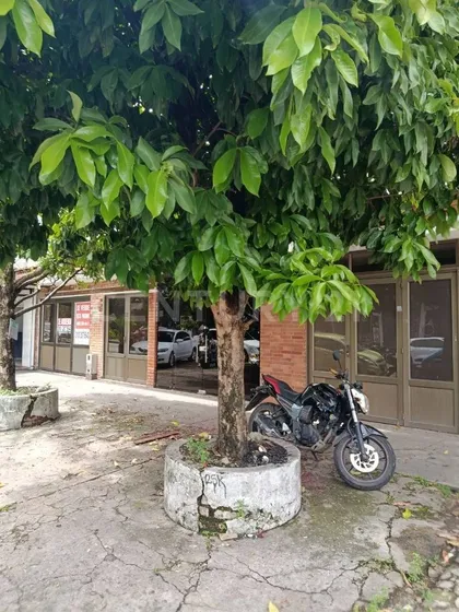 Venta De Propiedad En El Centro De Yopal