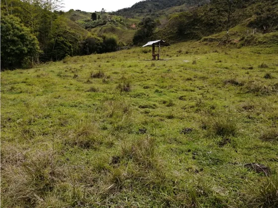 Hermoso Lote En Venta Vereda Toscana -  Alejandría 