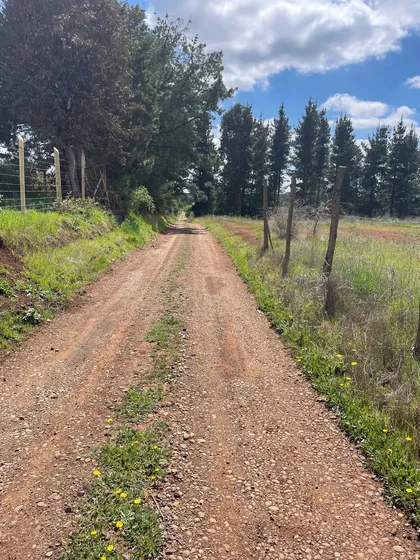 Vendo Parcela En Pemuco (174561)