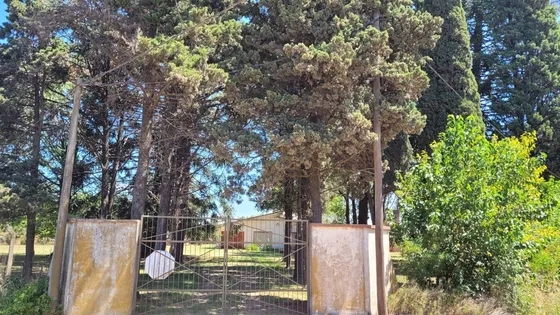 Casa En Venta - 1 Dormitorio 1 Baño - 17000mts2 - Chacabuco