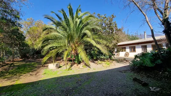 Sitio En Venta En Cabildo