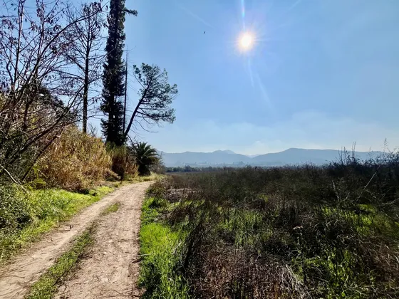 Terreno Urbano, 25 Hectáreas, Ribera Sur Del Río Maipo, Buin