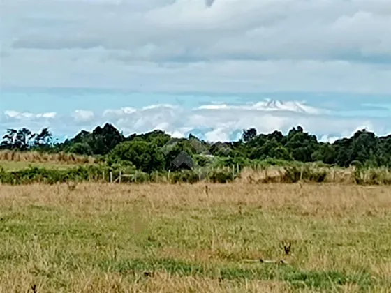 Parcela En Venta En Llanquihue