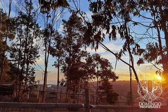 Parcela Condominio Bosquemar De Tunquen