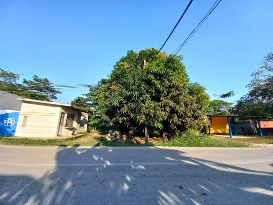 Terreno En Venta En Ejido El Cedro, Saloya, Carretera Bosque De Saloya, Nacajuca, Tabasco