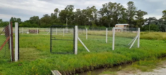 Terreno En Venta - 250mts2 - Abasto