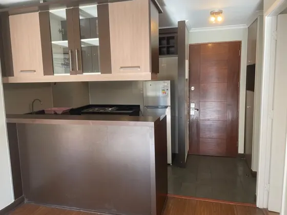 Se Arrienda Departamento 1d 1b Carlos Xii 120 Las Condes