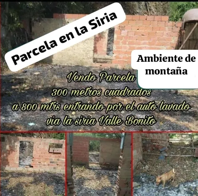 Parcela De 300mts Plana A Orilla De Calle La Siria Valle Arriba Mdominguez