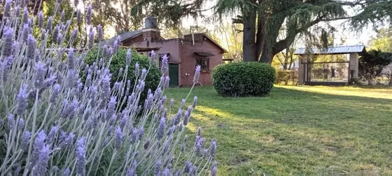 Casa Quinta En Gral Rodriguez, Barrio San Carlos 2400m2 Tot.